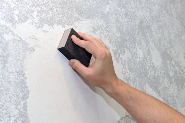 Mold Documentation for Insurance Claims in Mountain Brook, AL