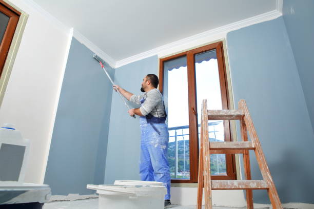 Best Mold Damage Restoration  in Mountain Brook, AL