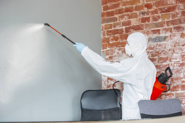 Best Biohazard Mold Removal  in Mountain Brook, AL
