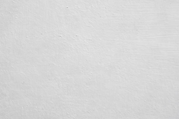 Best Basement Mold Removal  in Mountain Brook, AL