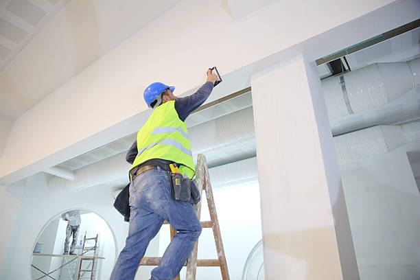 Best Real Estate Mold Inspection  in Mountain Brook, AL